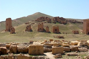 Some of Palmyra's tower tombs