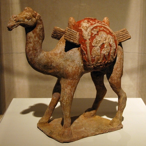Bactrian camel (Chinese)