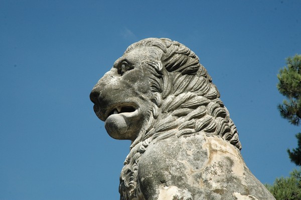 Amphipolis, Lion, Head
