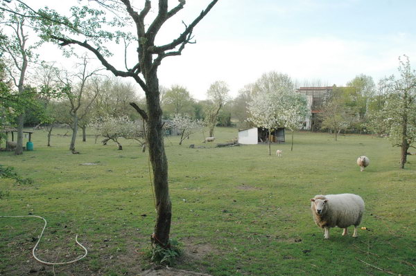 Nijmegen, Kops Plateau, Site of the cemetery
