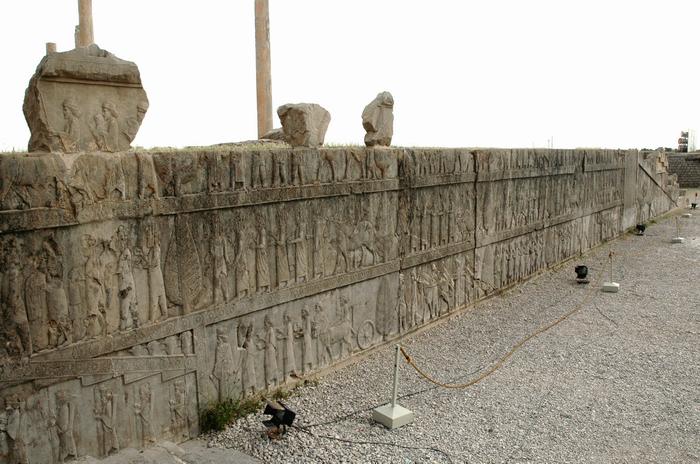Persepolis, Apadana, North Stairs, Tribute bearers