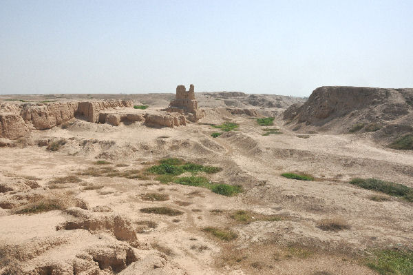 Susa, Excavation of the acropolis