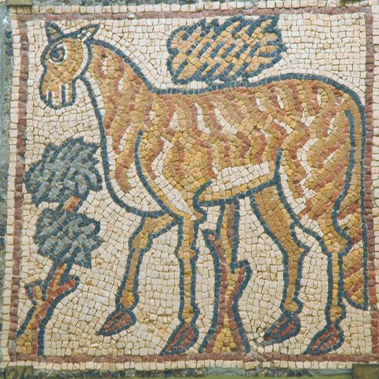 Qasr Libya, mosaic 1.05.d (Zebra)