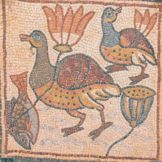 Qasr Libya, mosaic 1.06.e (Ducks and lotuses)