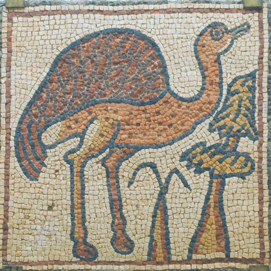 Qasr Libya, mosaic 1.07.a (Ostrich)