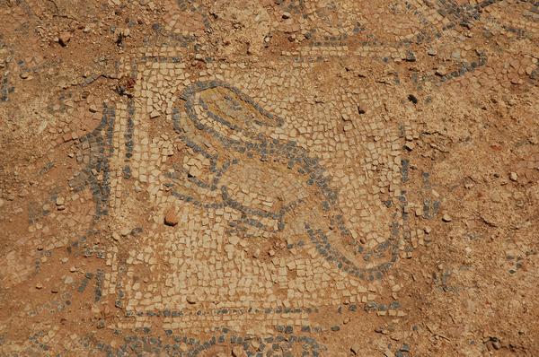 Taucheira, Palace Church, mosaic 1: lizard