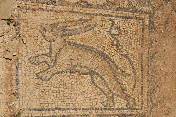 Taucheira, Palace Church, mosaic 3: hare