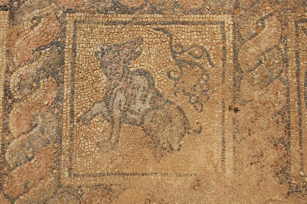 Taucheira, Palace Church, mosaic 5: wolf