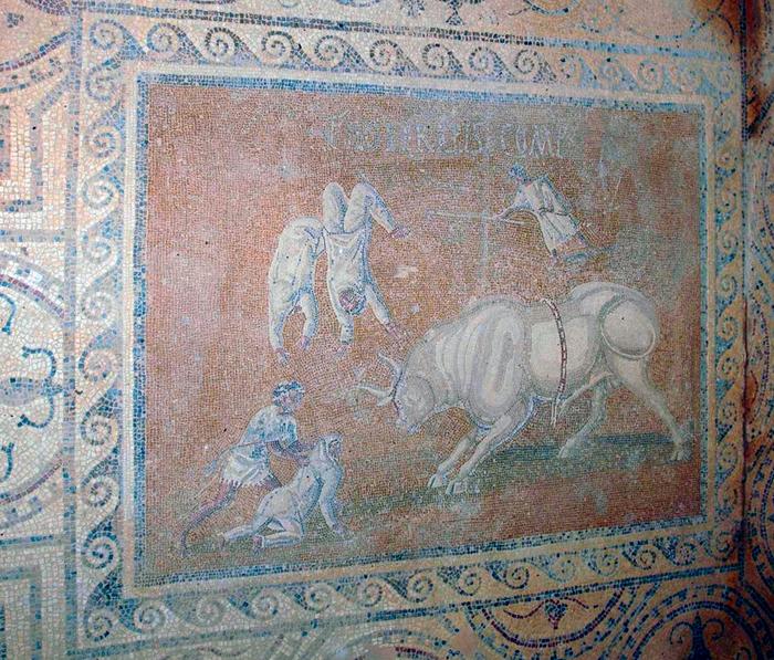 Villa Selene, Mosaic of the acrobats