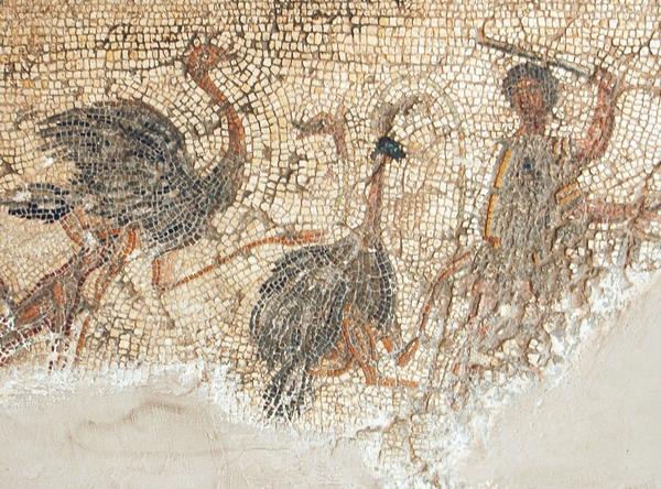 Villa of Dar Buc Ammera, gladiator mosaic, Fight against ostriches