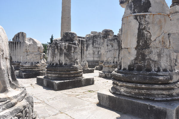 Didyma, temple of Apollo, entrance, columns