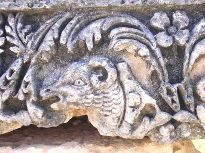 Diocaesarea, temple of Zeus, decoration: a ram