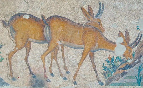 Constantinople, Imperial Palace, Mosaic of two deer
