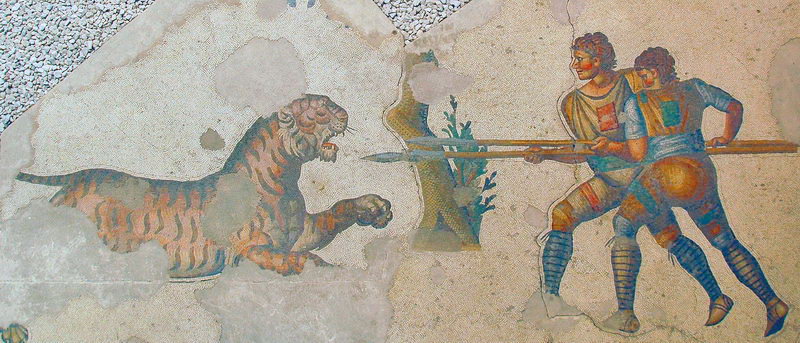 Constantinople, Imperial Palace, Mosaic of two hunters and a tiger
