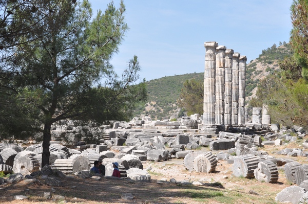 Priene, Temple of Athena Polias (2)
