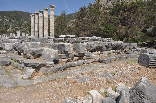 Priene, Temple of Athena Polias (3)