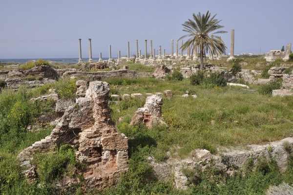 Tyre, City, Baths (from SE)