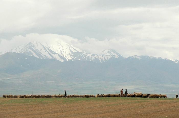 Zagros, Nesaean Plain, surrounding Ecbatana (modern Hamadan)