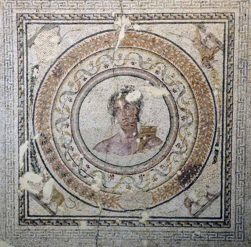 Salona, Governor's Palace, Mosaic of Apollo