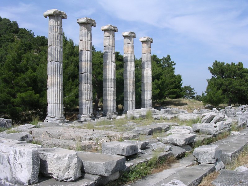 Priene, Temple of Athena Polias (6)