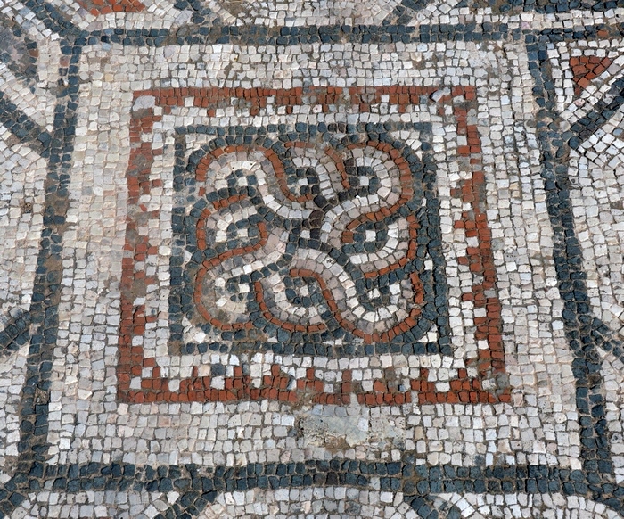 Sardes, Synagogue, Mosaic (2)