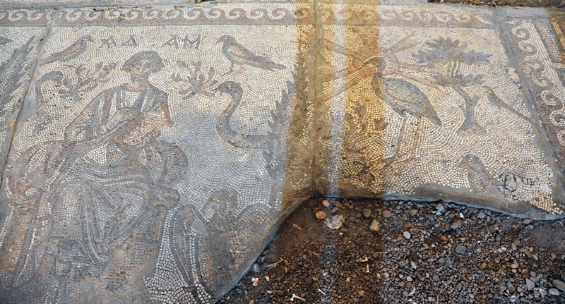 Apamea, Church, Mosaic of Adam and the Phoenix