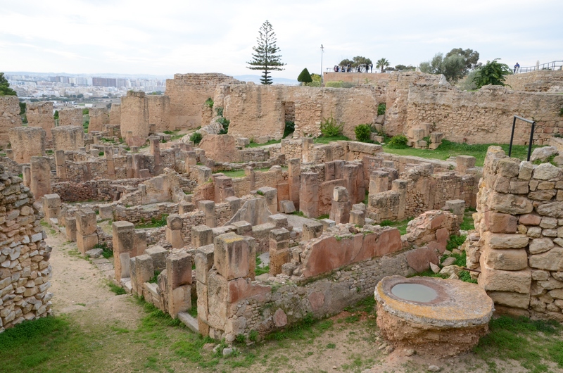 Carthage, Quartier Hannibal, Houses