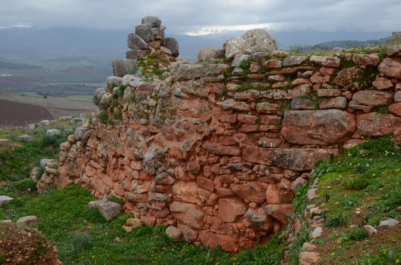 Tiddis, Punic wall