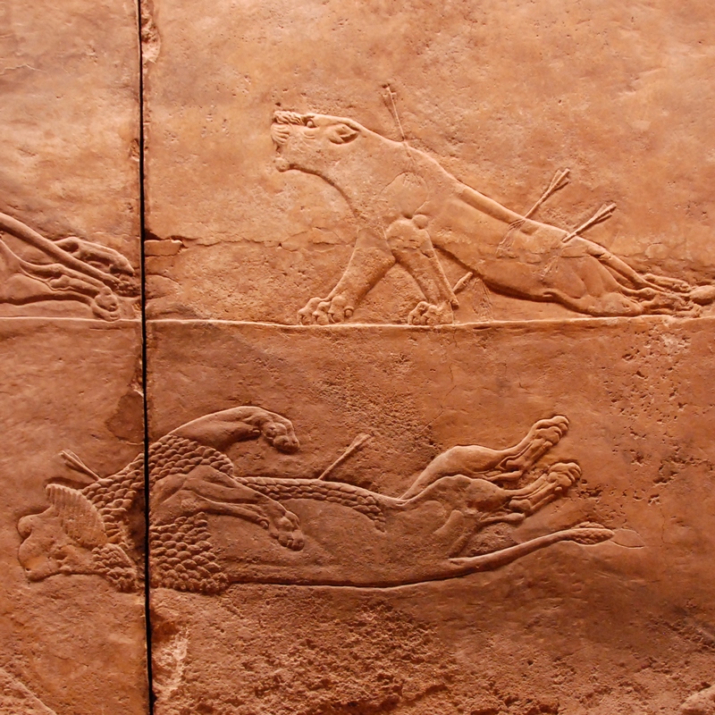 Nineveh, Palace of Aššurbanipal, Aššurbanipal's Lion Hunt (8)