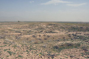 The excavation in 2009