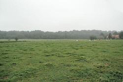 The site of Burginatium