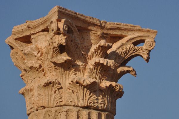 Palmyra, Colonnaded street, capital