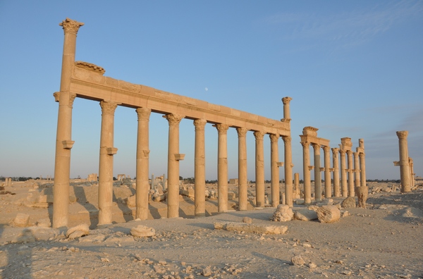 Palmyra, Colonnaded street