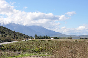 The battlefield; Parnassus in the distance