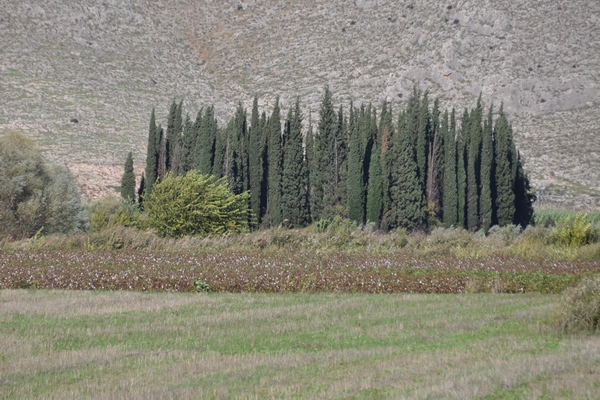 Chaeronea, Macedonian Tumulus