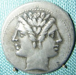 Janus