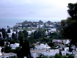 The ports of Carthage, seen from the north