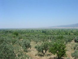 The plain of Corupedium