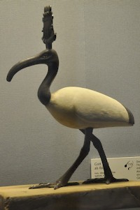 Thoth, represented as an ibis