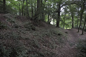 The NE wall of the oppidum at the Bois du Grand Bon Dieu (Belgium), the likely location of the siege.