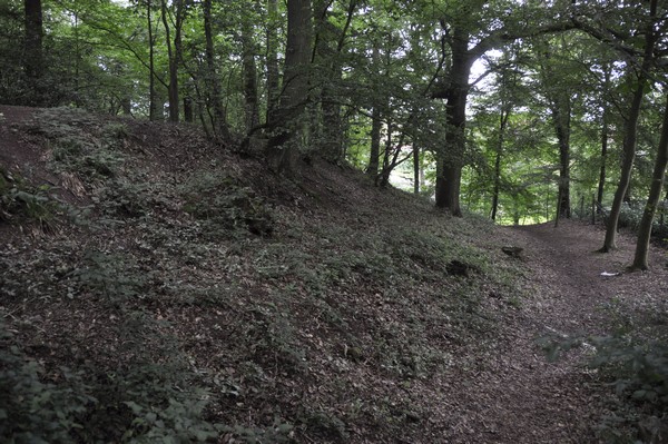 Thuin, Bois du Grand Bon Dieu, Northeastern slope of the oppidum (1)