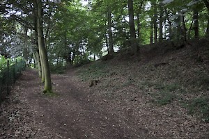 The NE wall of the oppidum at the Bois du Grand Bon Dieu (Belgium), the likely location of the siege.