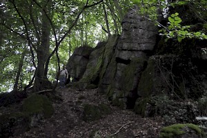 The rocky southern edge of the oppidum at the Bois du Grand Bon Dieu (Belgium), the likely location of the siege.