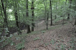 The northern slope of the oppidum at the Bois du Grand Bon Dieu (Belgium), the likely location of the siege.