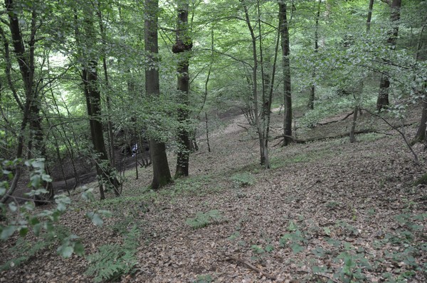 Thuin, Bois du Grand Bon Dieu, Northern slope of the oppidum