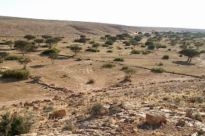 Wadi Buzra with dam