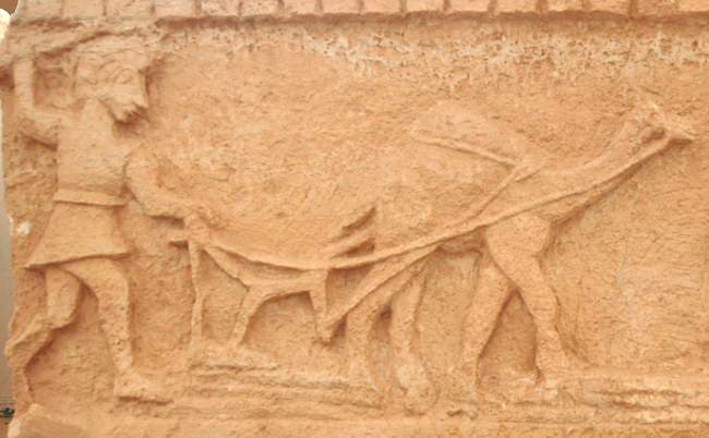 Wadi al-Binya, Relief of a dromedary plowing the land