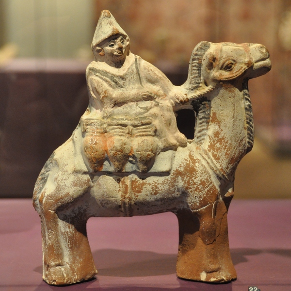 Egyptian dromedary (2)