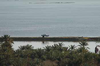 Siwa, East Lake