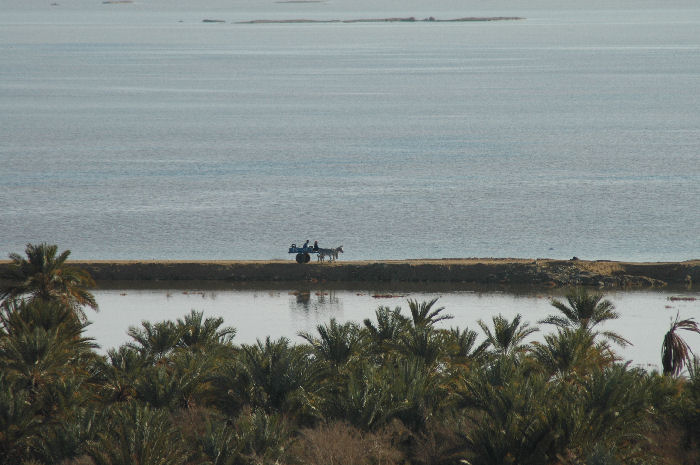 Siwa, East Lake